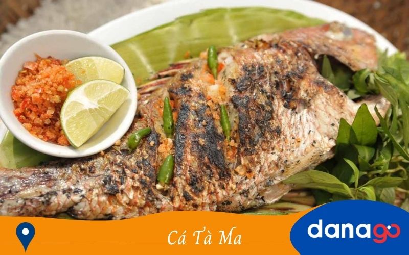 cá tà ma lý sơn cá tà ma lý sơn