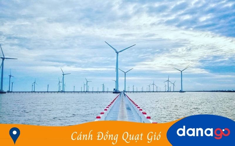 cánh đồng quạt gió