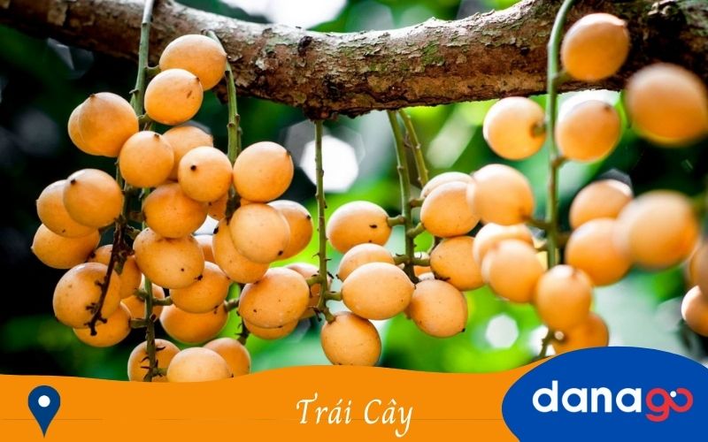 đặc sản bến tre