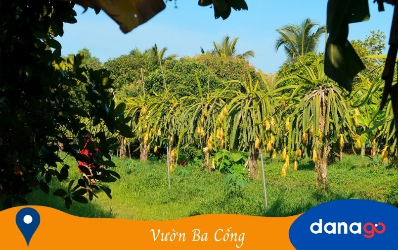 Vườn Trái Cây Ba Cống