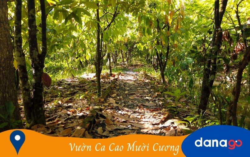 kinh nghiệm du lịch cần thơ