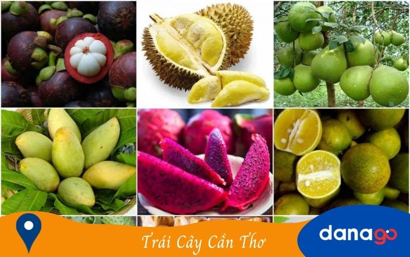 trái cây cần thơ