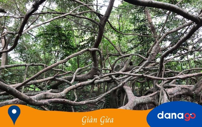 kinh  nghiệm du lịch cần thơ