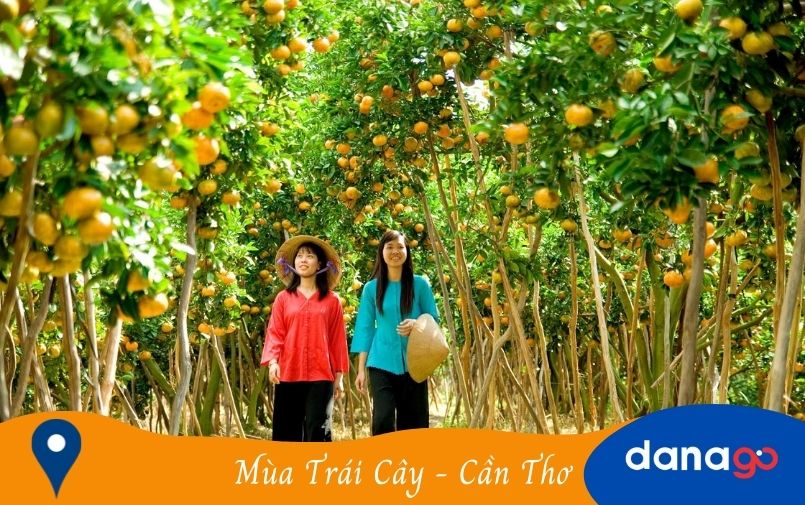 mùa trái cây cần thơ