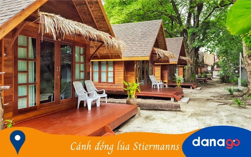 Cánh Đồng Lúa Stiermanns