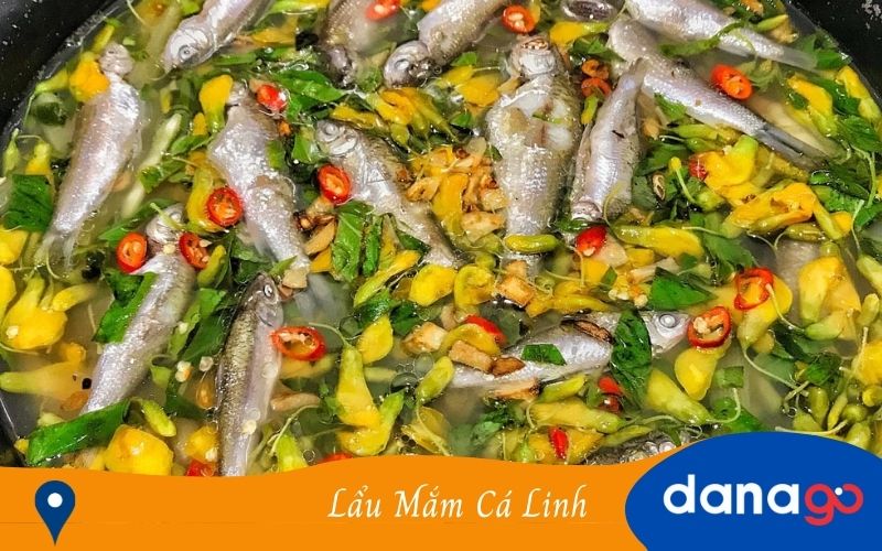 lẩu mắm cá linh bông điên điển