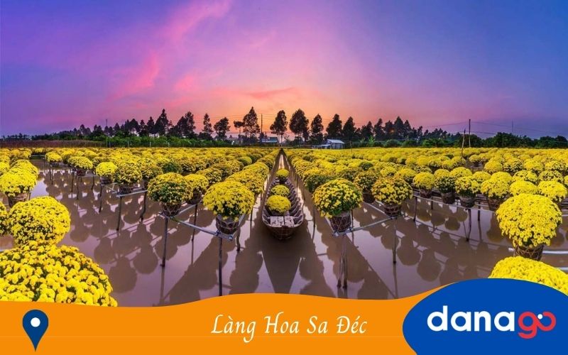 làng hoa sa đéc