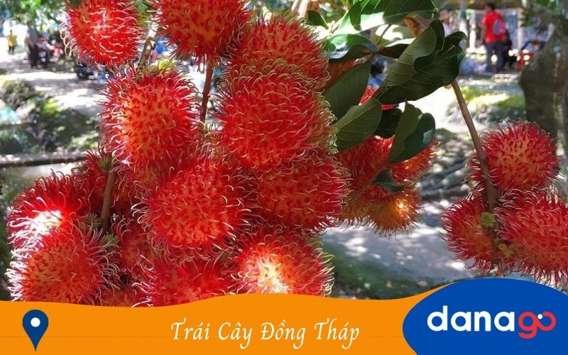 đặc sản đồng tháp