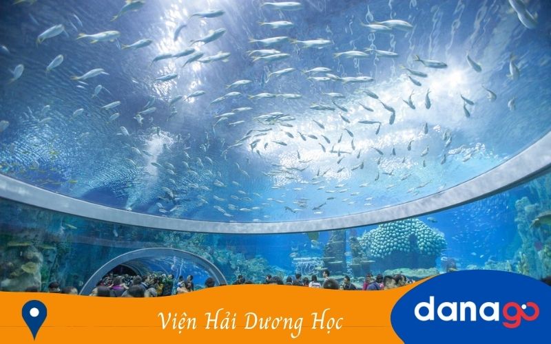 viện hải dương học