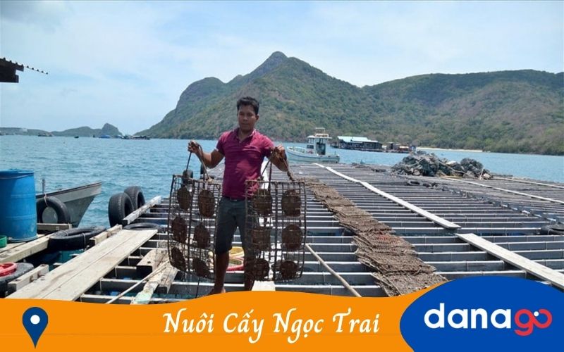 Khu Nuôi cấy ngọc trai