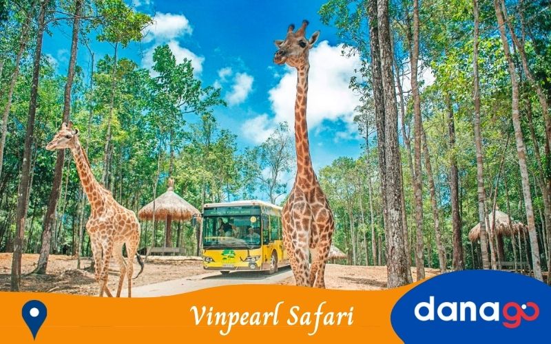 Vinpearl Safari Phú Quốc