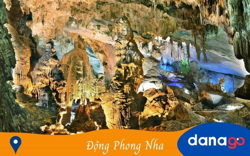 động phong nha