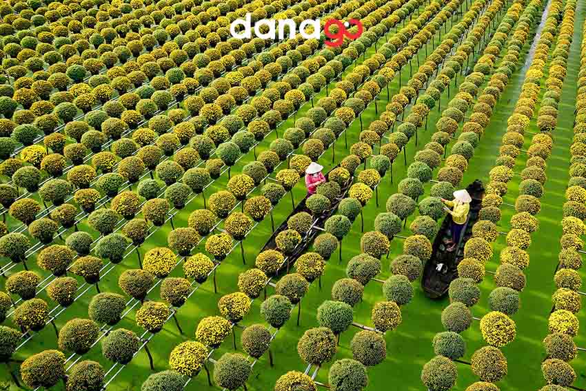 tour miền tây 4 ngày 3 đêm