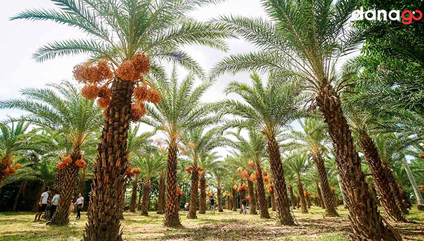 tour miền tây 4 ngày 3 đêm từ đà nẵng