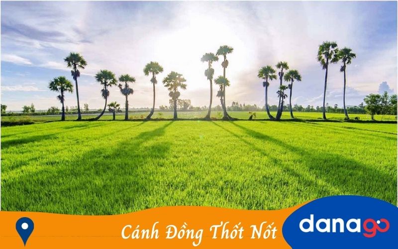 Tour đà nẵng đi miền tây 4 ngày 3 đêm