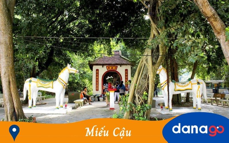 tour đà nẵng đi côn đảo