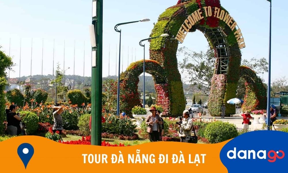 tour đà nẵng đi đà đà lạt