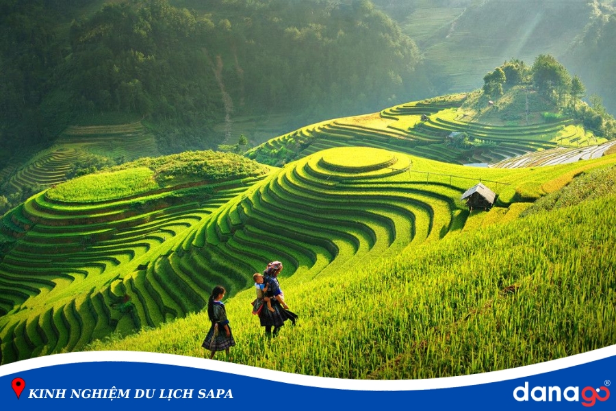 kinh nghiệm du lịch sapa
