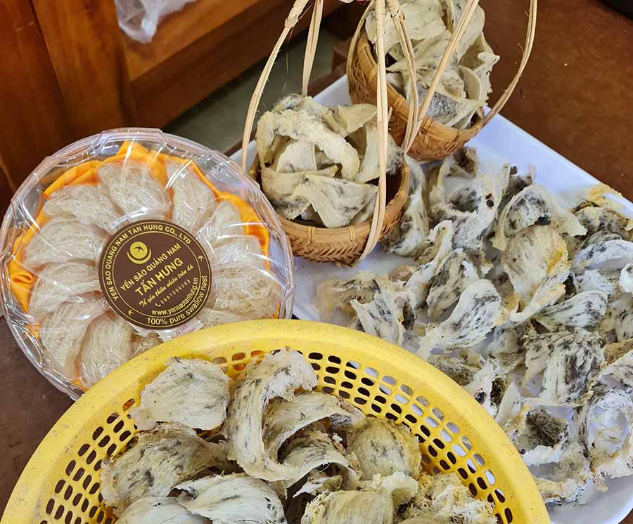 yen sao hoi an yến sào hội an