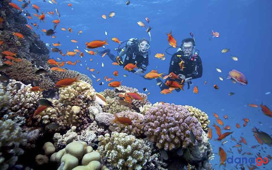 Tour đà nẵng 4 ngày 3 đêm từ hà nội
