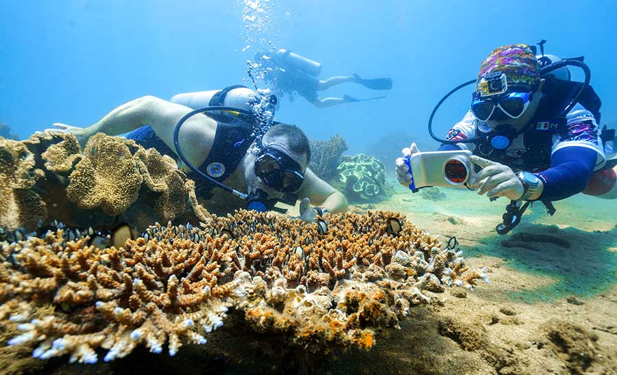 tour hà tây đà nẵng 4 ngày tour hà tây đà nẵng 4 ngày