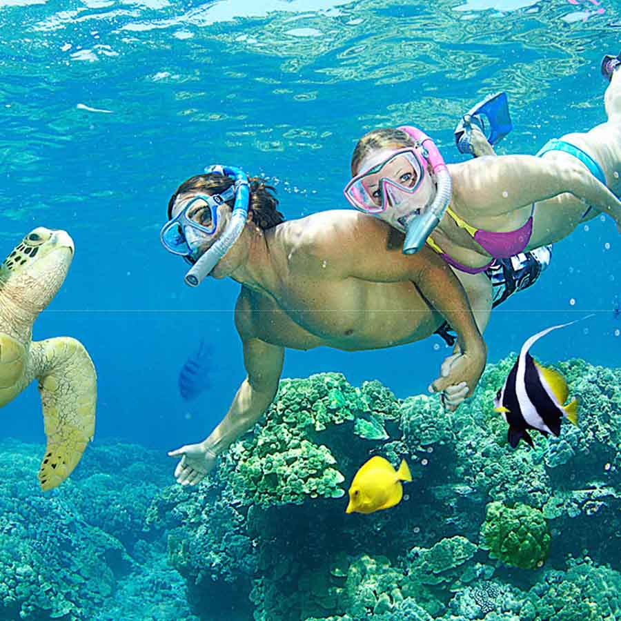 tour sài gòn đà nẵng 4 ngày 3 đêm