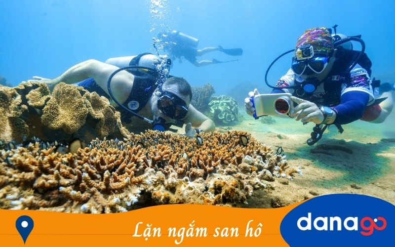 tour Đà Nẵng đi Cù Lao Chàm